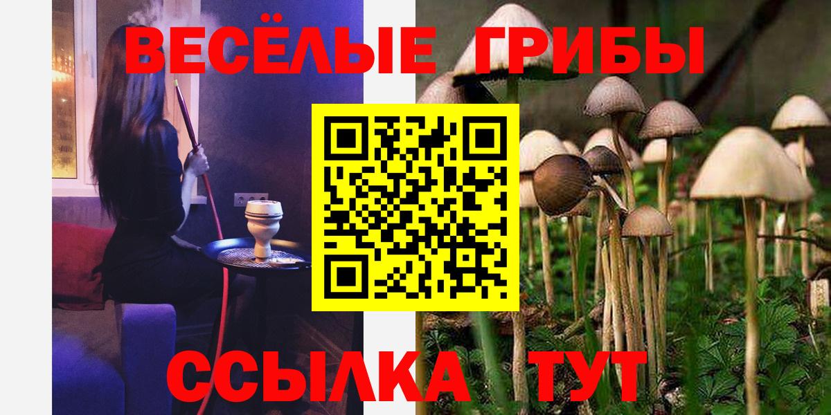 Галлюциногенные грибы Psilocybine cubensis  Вход с VPN  Йошкар-Ола  Галлюциногенные грибы MAGIC MUSHROOMS 